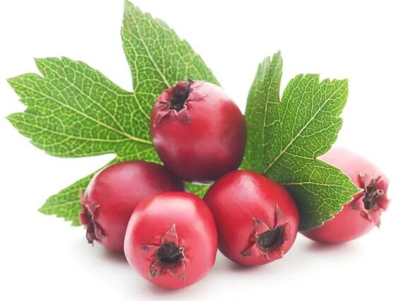 Cardiol enthält Hawthorn Berry Extrait